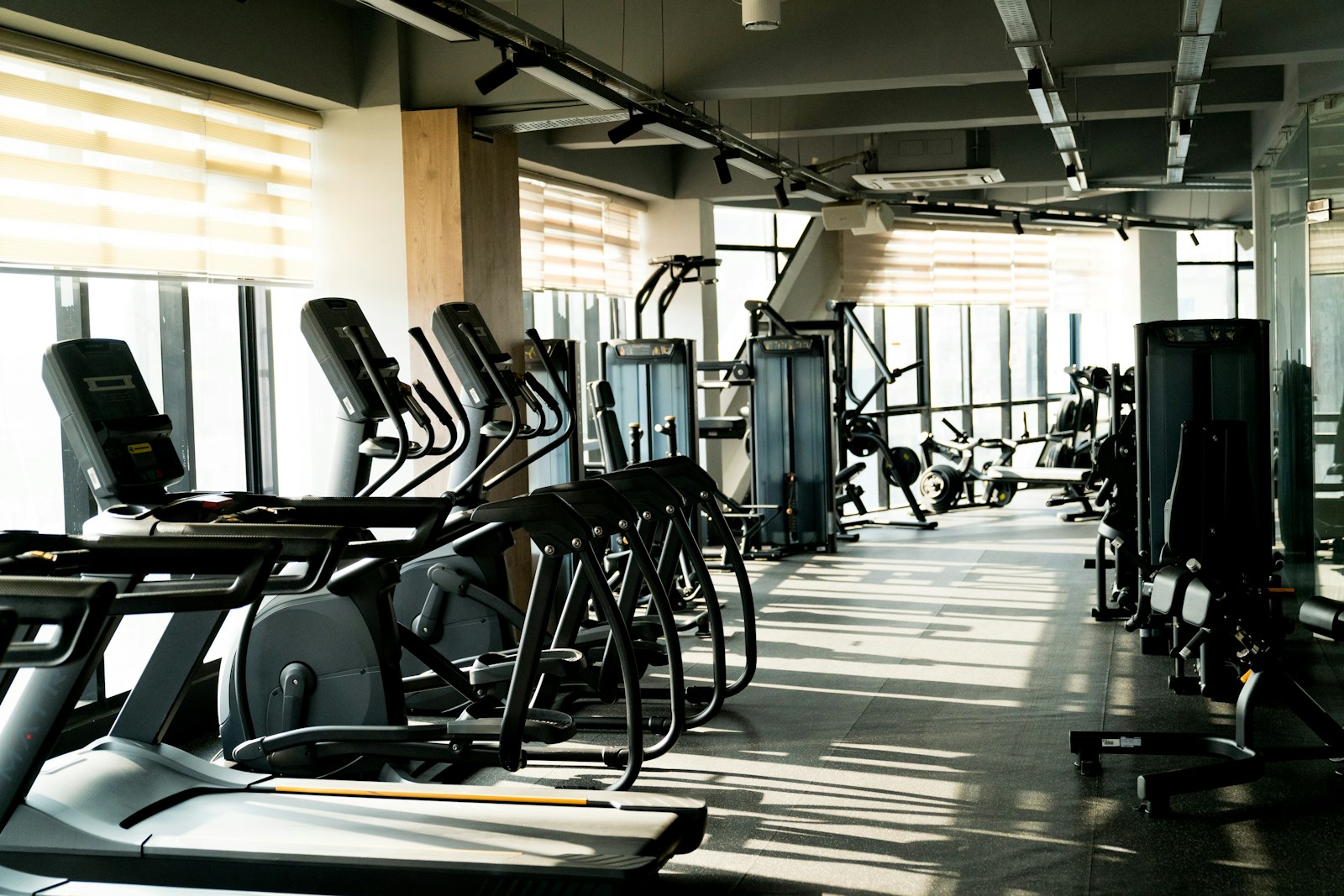 Illustrative fitness environment
